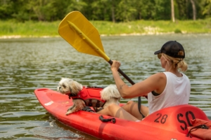 Kayak Dog